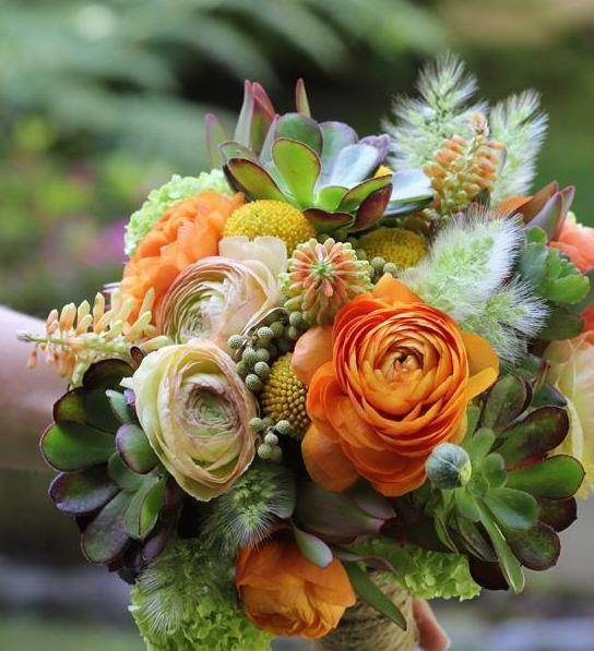 幸福排行榜_连续5年登上“幸福”榜单成都市温江区获评“2023中国最具幸福感城...(2)