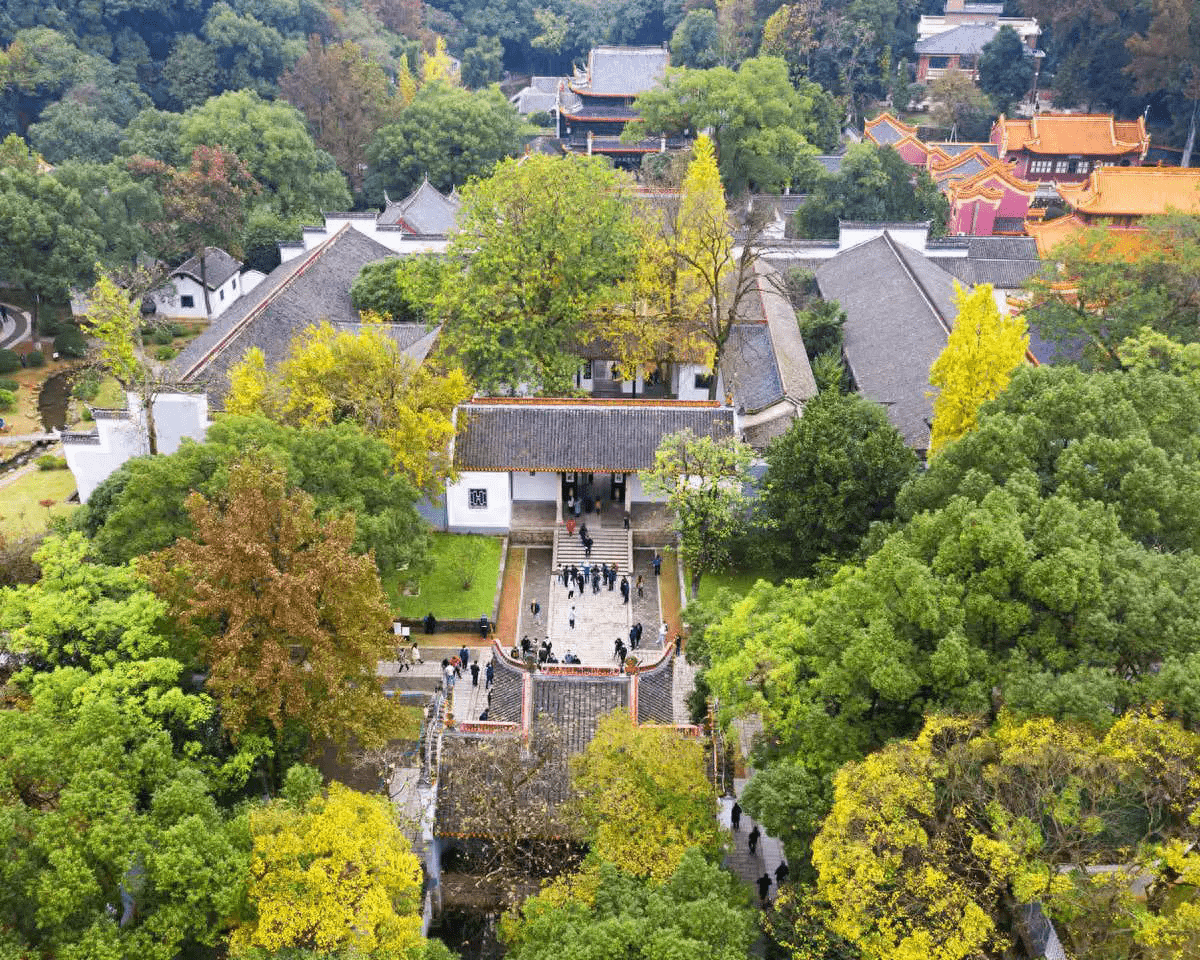 游学"千年学府",触摸湖湘文脉_岳麓书院_活动_讲堂