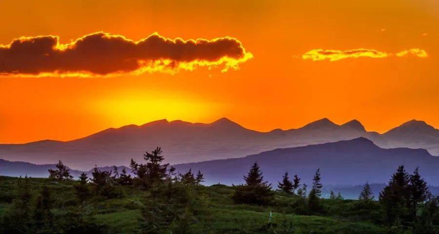 全网最低价拼不出家电厂商的活路-家电圈官网