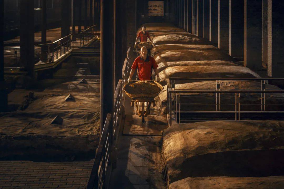 水井坊主动"降速"后续:营收净利重回双位数增长,经销商反馈积极_库存