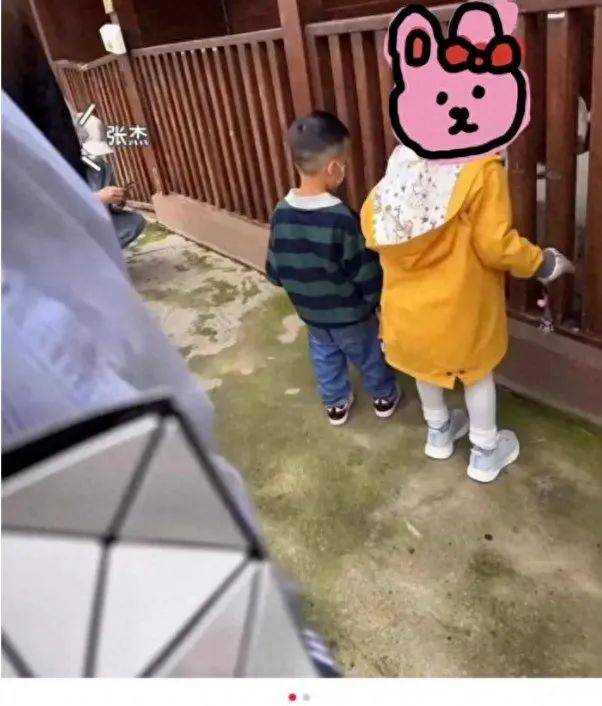 张杰居然是这样的爸爸,3个女儿近况曝光!_孩子_谢娜_邓超