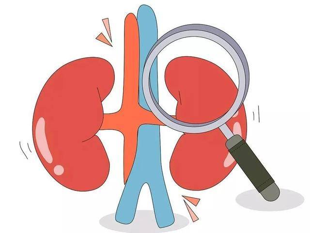 03尿毒症发作前,身领会呈现哪些异常信号?