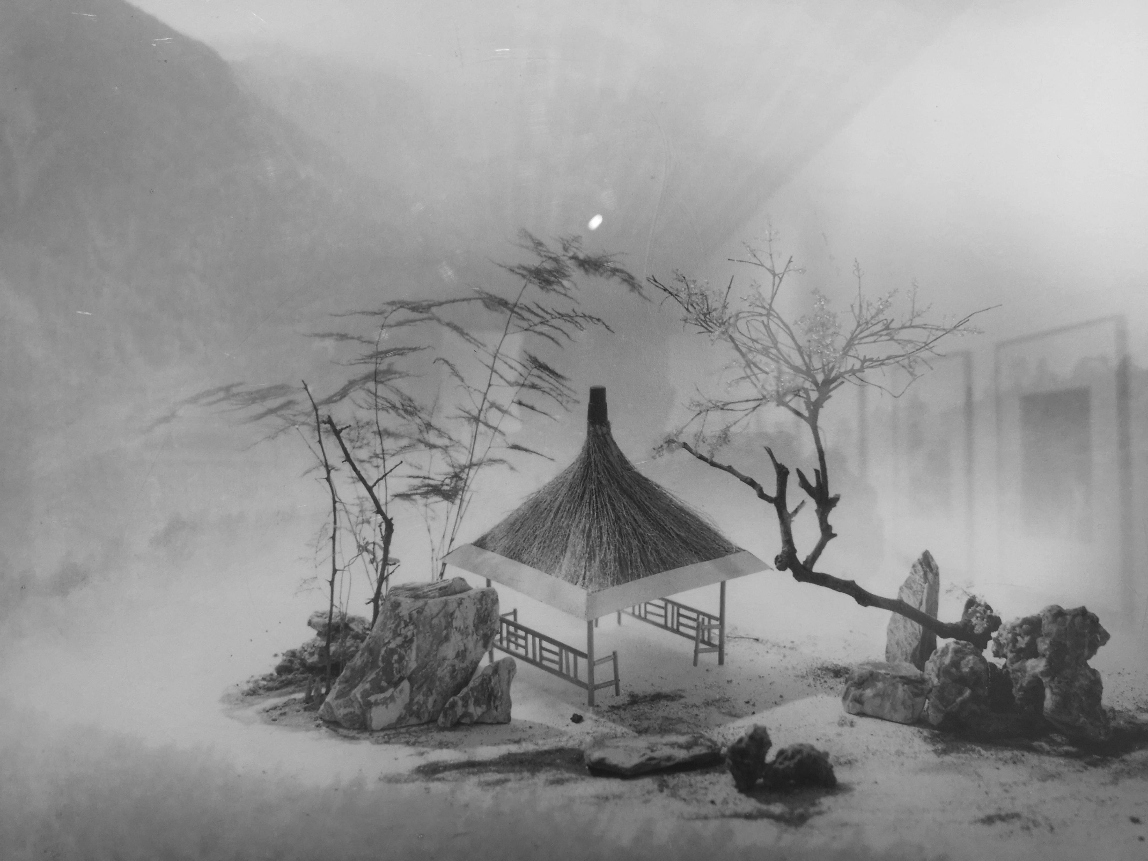 郎静山画意摄影