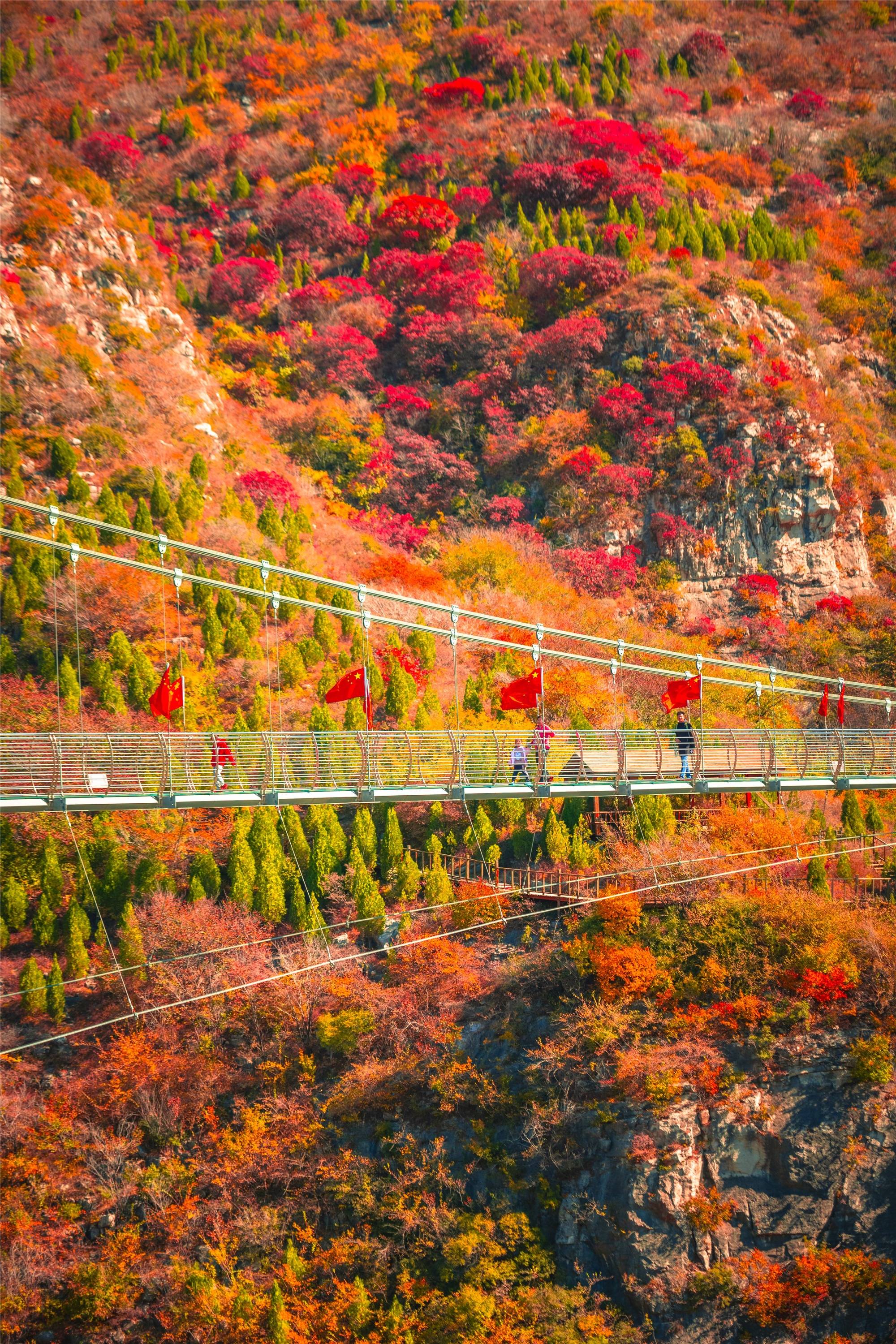 青铜山大峡谷景区图片