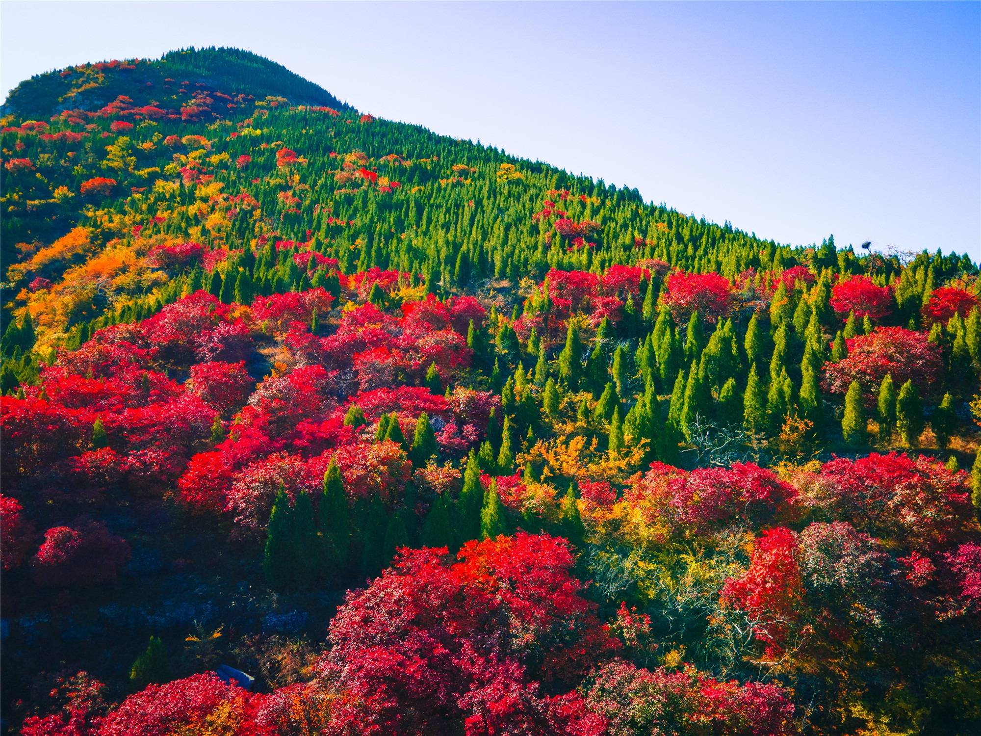 青铜山大峡谷景区图片