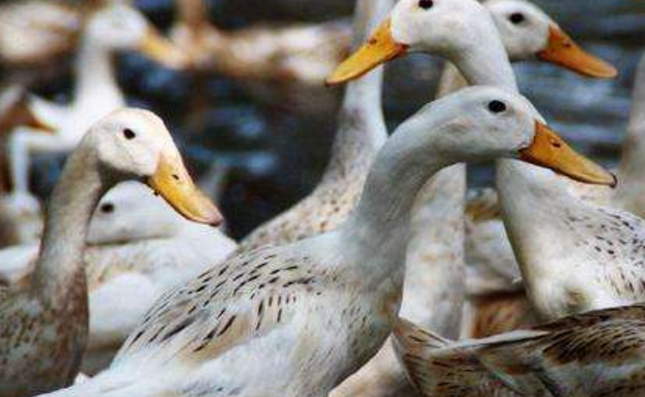 看了你们别不相信_口感_商家_小爱