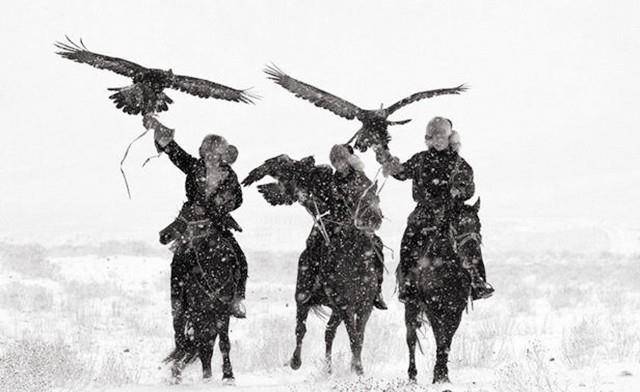万鹰之神——海东青_猎鹰_皇帝_图腾