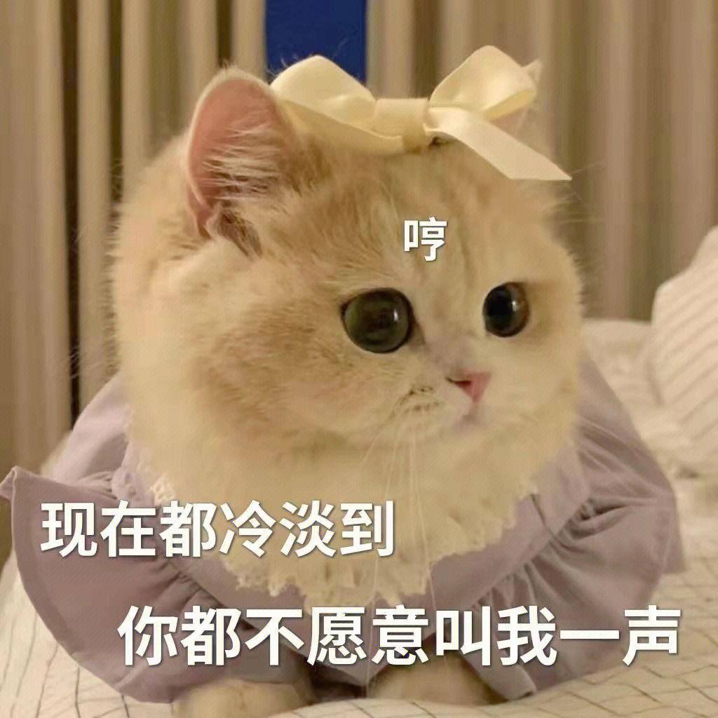 笑话十条:打麻将三缺一,只好让从不玩麻将的媳妇儿顶个卯_妈妈_女朋友
