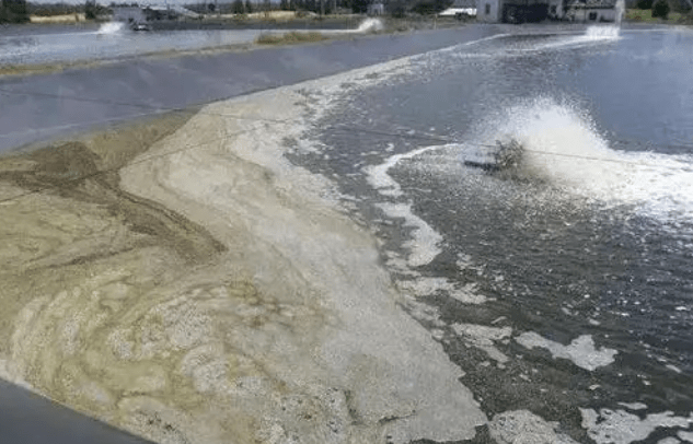 鱼塘底泥积累变质怎么办,池塘底泥如何处理,您知道吗?