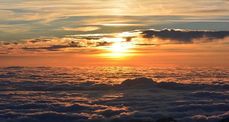 欧派慕思相继打价格战的家电业反思-家电圈官网