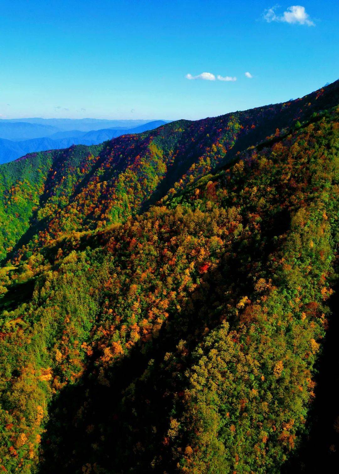来越西,共赴一场视觉盛宴!_水观音_秋意_满山