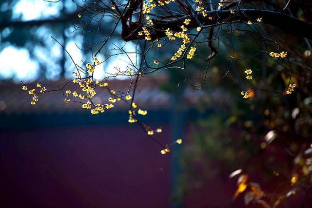 一朝一夕一晴雨,且行且歌且珍惜_人生_未来的_年华