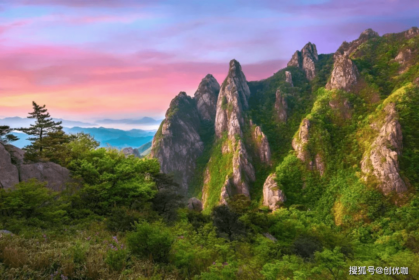 奋发图强的生肖图片