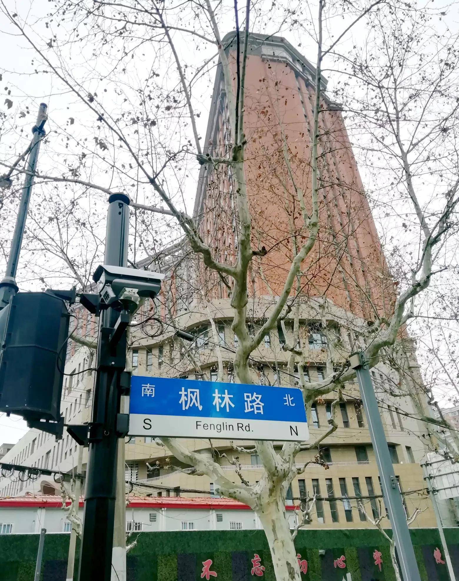 为何枫林路与枫树无关?_上海_街景_大楼