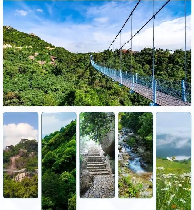 比赛之余还可免费游玩小黄山,亲子垂钓享受田园自然风光,游玩滑索来一