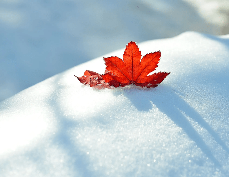 下雪天图片 实景 美景图片