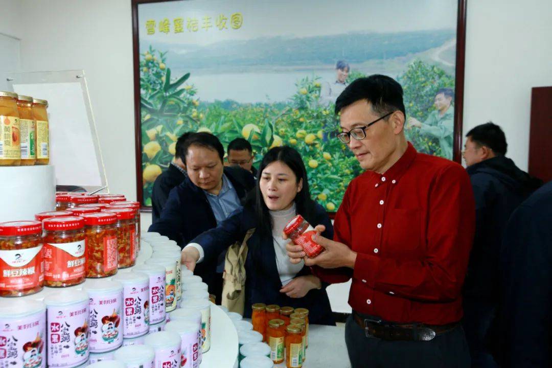 雪峰山下,这场文学盛宴映射桔城之美_发展_洞口_活动