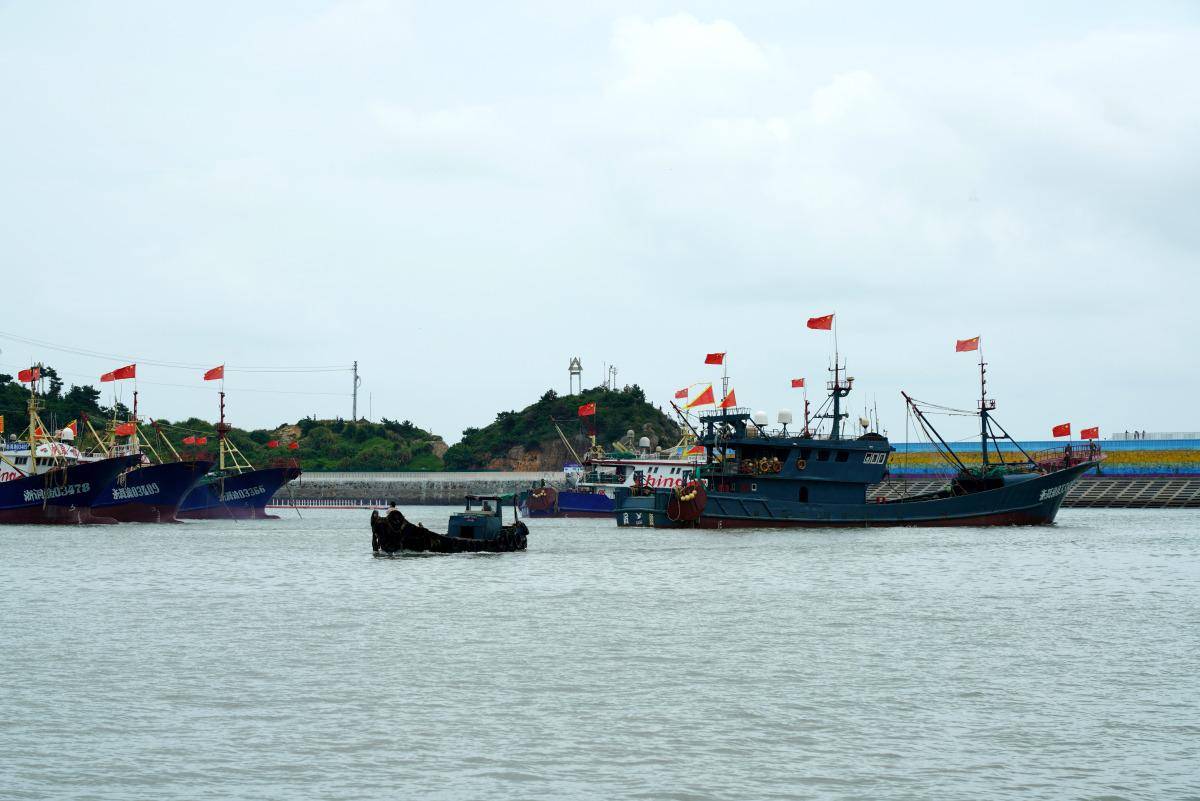 温州洞头东沙渔港:海洋的瑰宝与渔民的家园_文化_美食_生活
