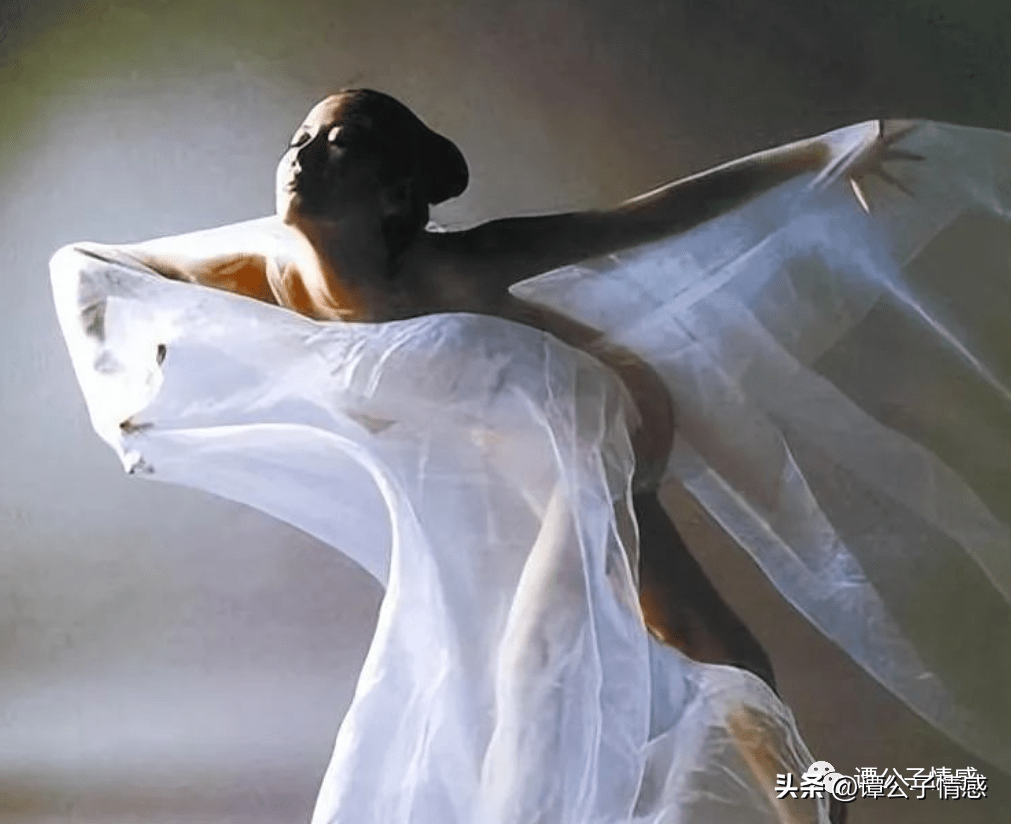 人体模特汤加丽为成名脱衣,丈夫"嫌脏"离婚,父亲将她赶出家门_张旭龙