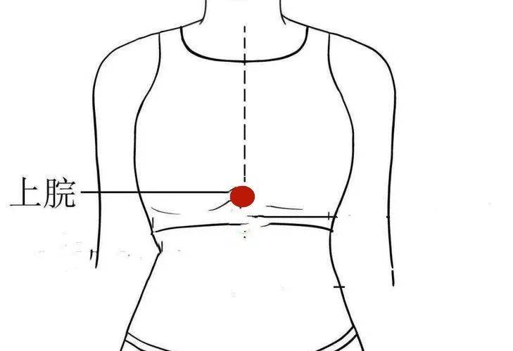 肚脐与剑突之间位置图图片