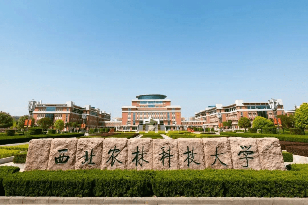 西北农林科技大学怎么样?深耕农林,成果丰厚_小麦_杨凌_我国
