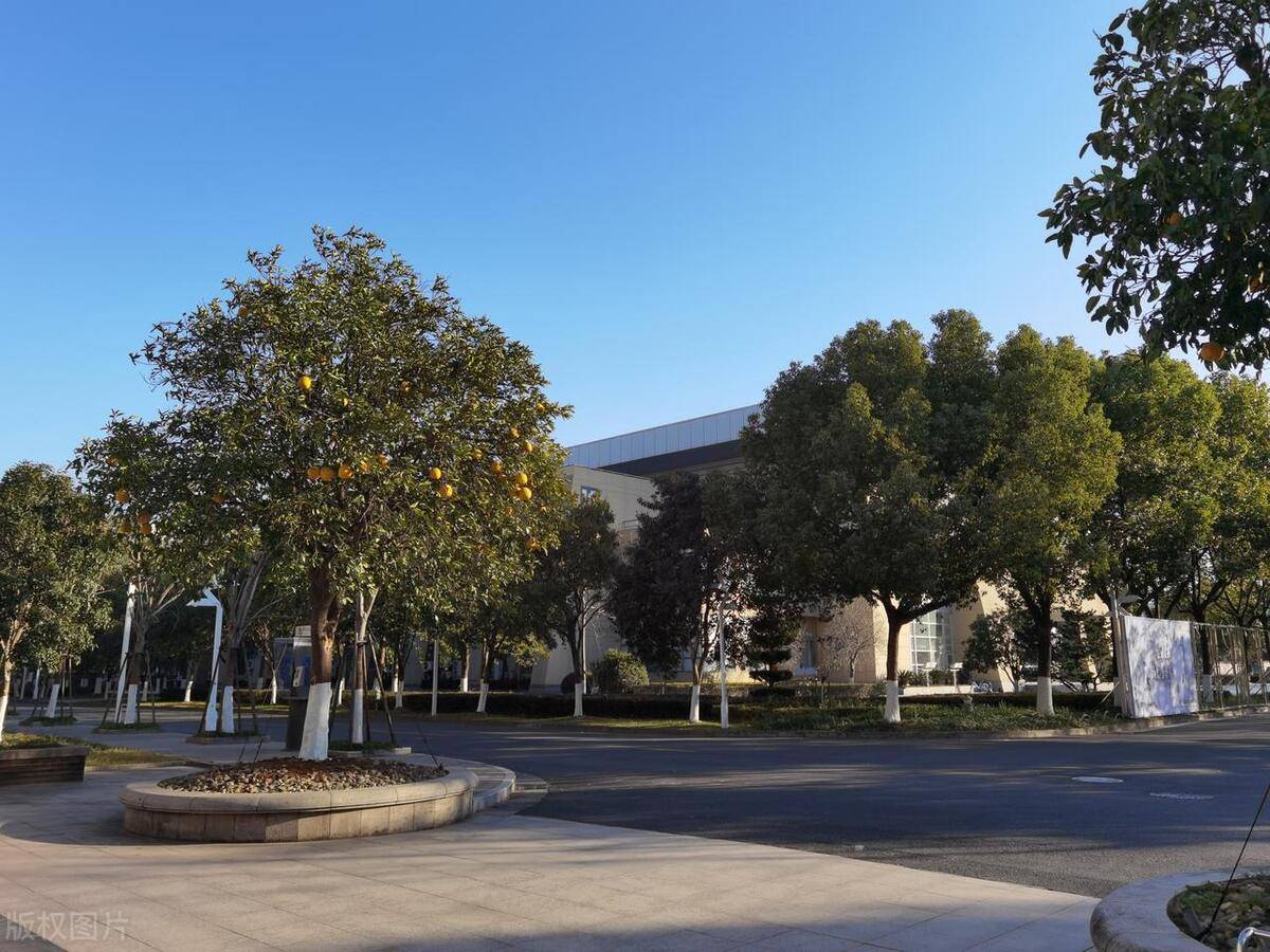 2023浙江传媒学院最好学科排名,戏剧与影视学第18,新闻传播学第19_评