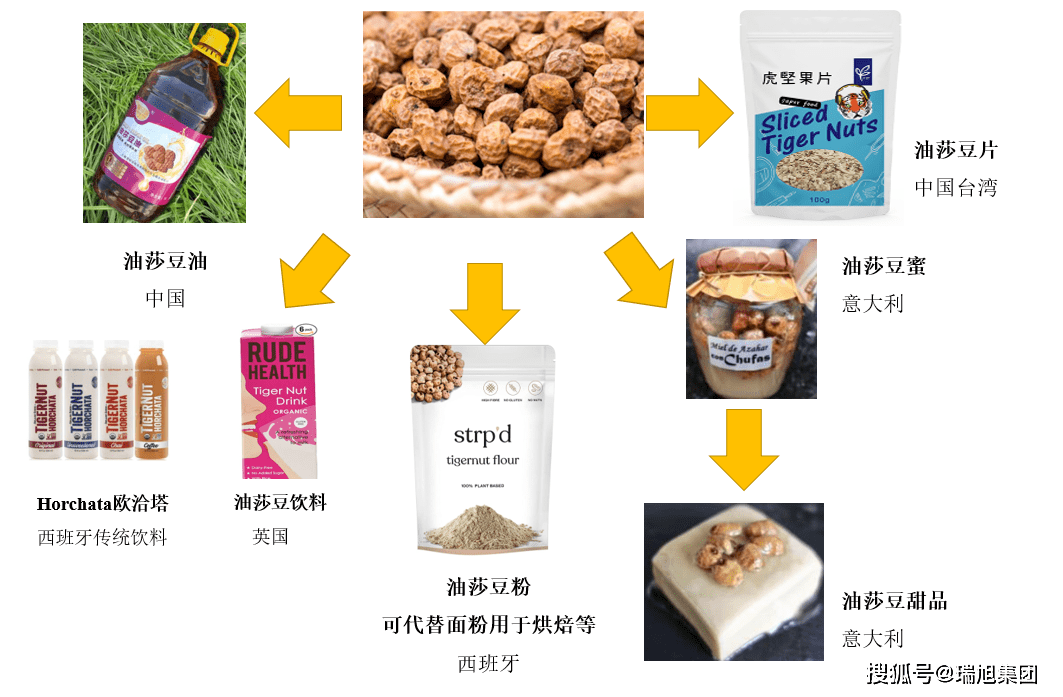油莎豆富含脂肪,氨基酸,淀粉,膳食纤维,甾醇,维矿等多种营养成分,具有