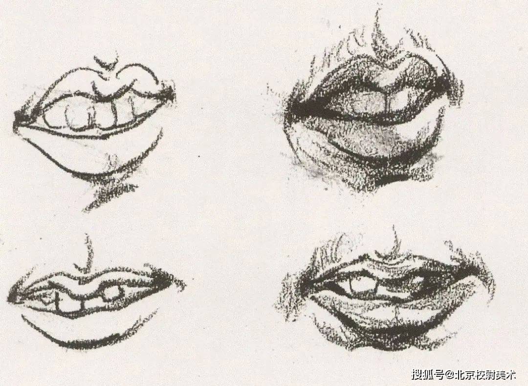 速写鼻子图片大全图片