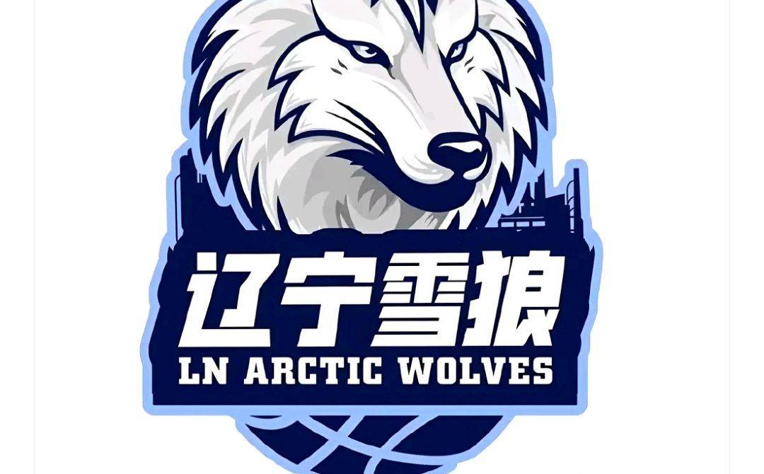 官宣!辽宁名帅新赛季去向确定,联手杨鸣冲击总冠军