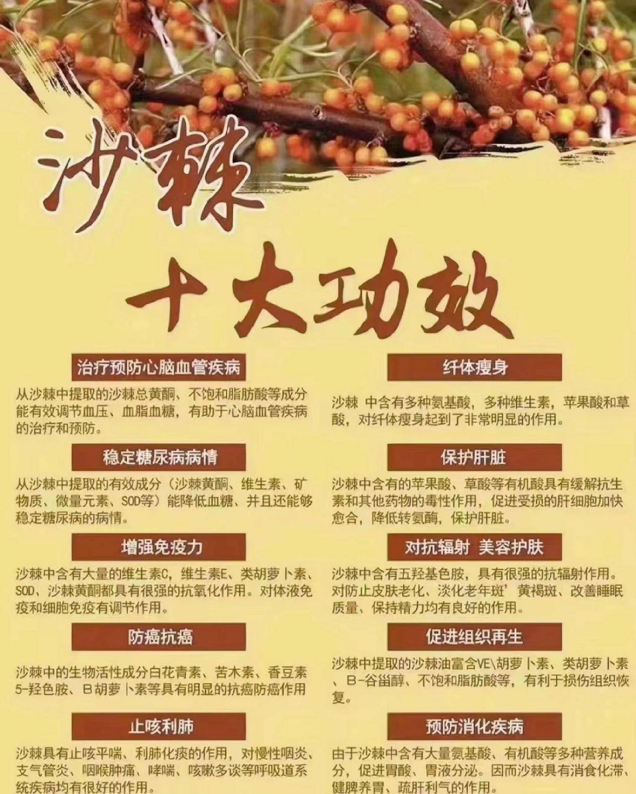 沙棘的功效与作用排毒图片