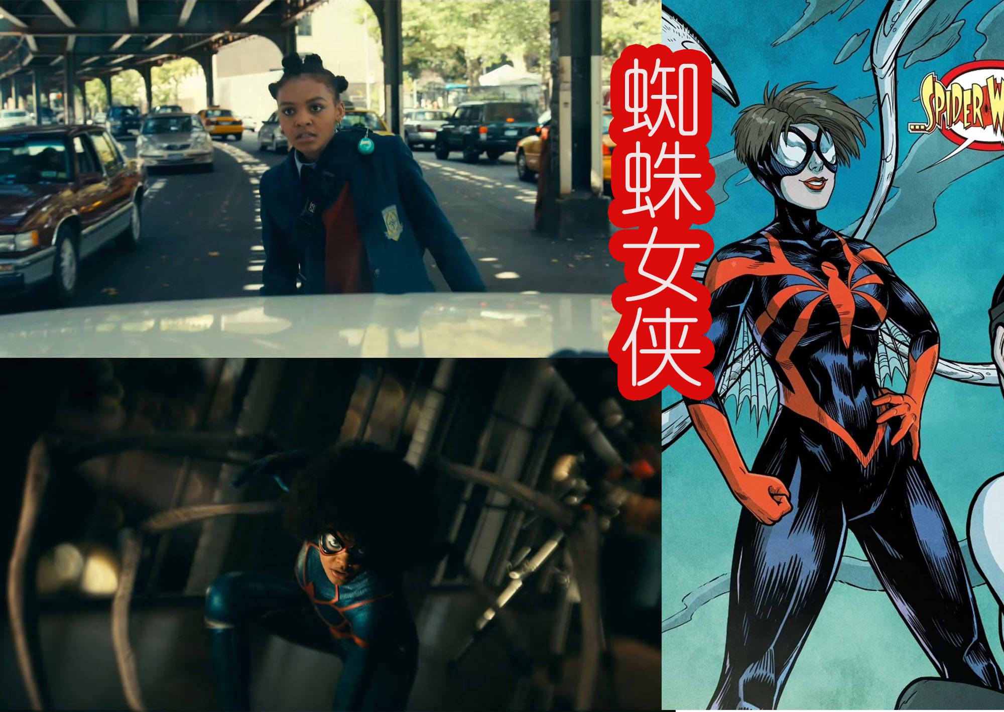 《蜘蛛夫人》有意思,加上反派的话,一共登场五个蜘蛛侠?