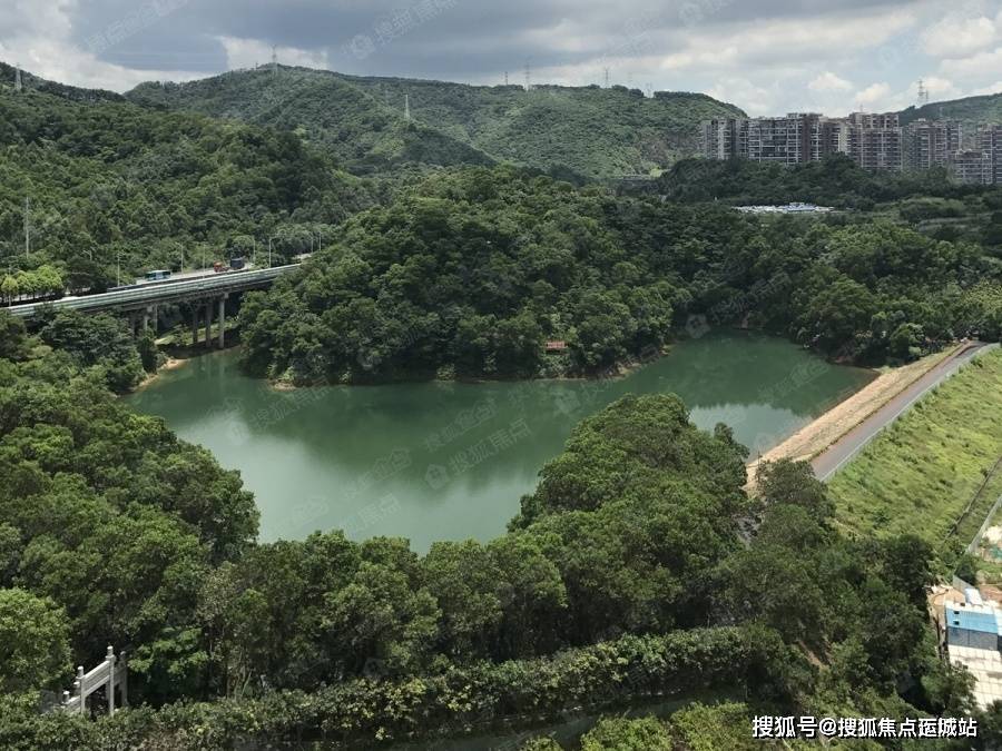 星河銀湖谷(深圳龍華)星河銀湖谷首頁網站丨星河銀湖谷房價_戶型_地址