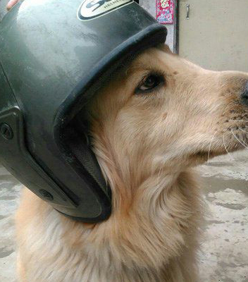 搞笑图片幽默段子笑话:报告老师,在教室里发现两只小怪兽_王总_朱贝贝