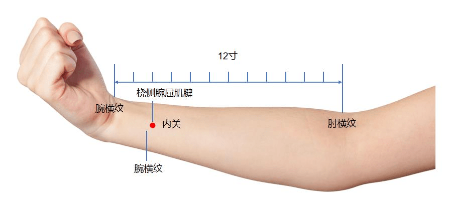 失眠针灸准确位置图图片