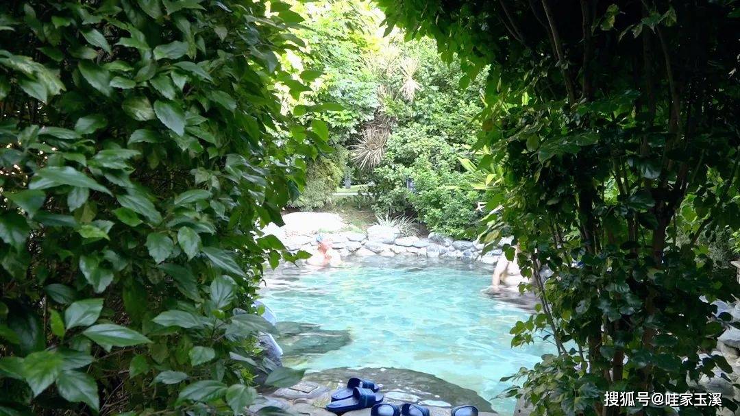 元江栖霞山温泉花园酒店里泡温泉也是疗养必不可少的行程在当地导游的
