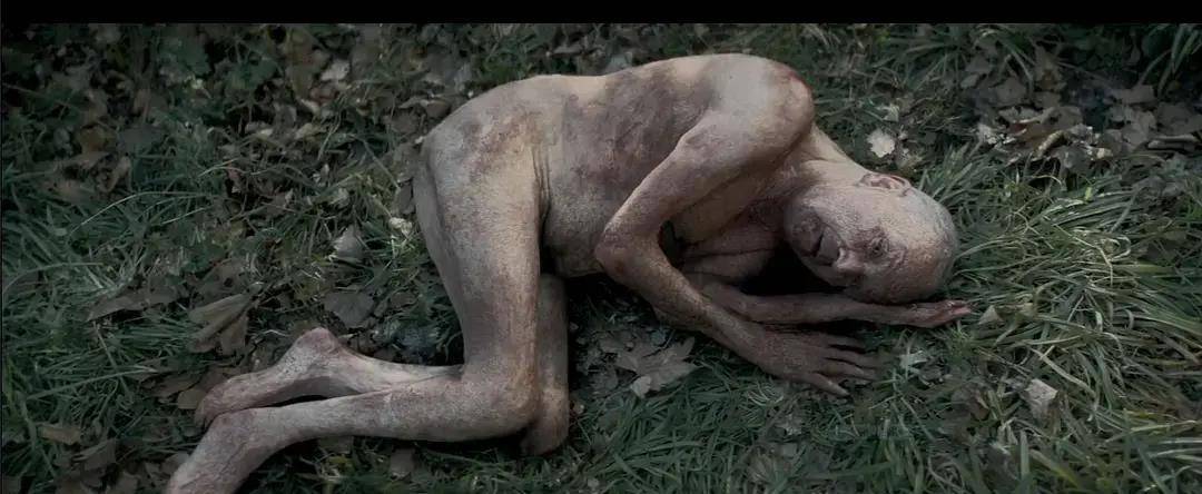 《心愿房间》:探究人性的多面性与复杂性_电影_艾米_作品