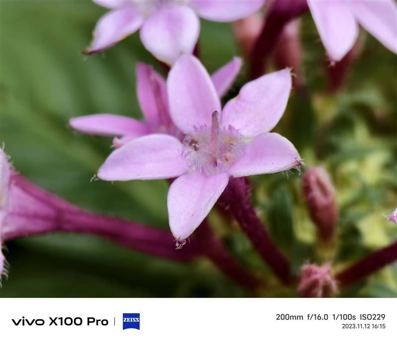拍月亮那都不是事儿！vivo X100 Pro评测：APO认证的超级长焦 它能拍太阳(图45)