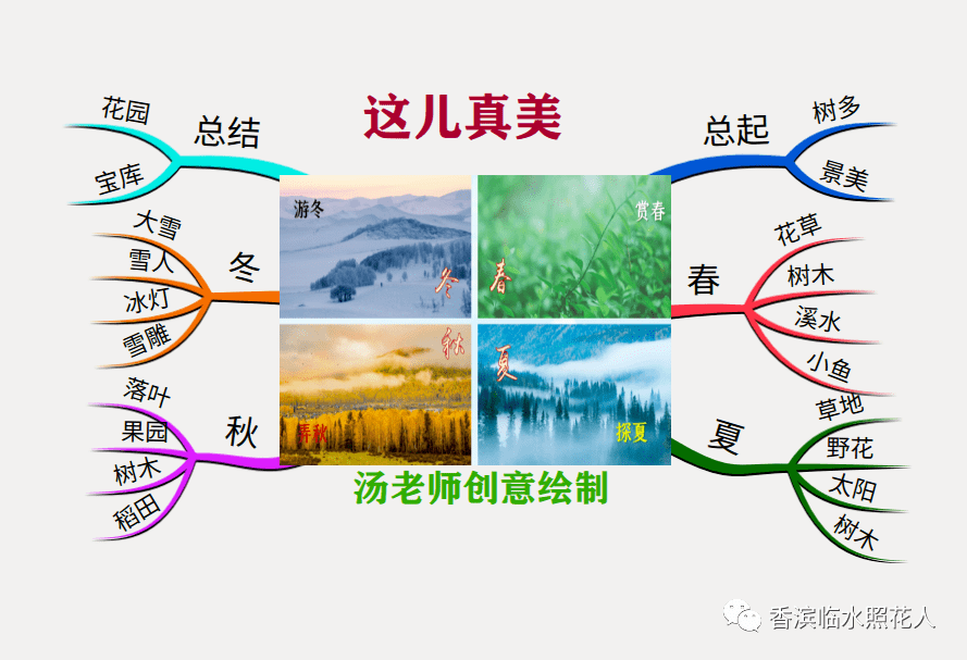 柳树作文思维导图图片