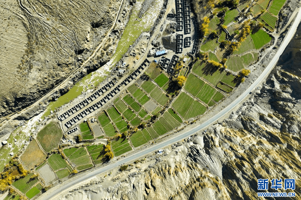 11月16日,西藏隆子县加玉乡境内拍摄的农田(无人机照片).