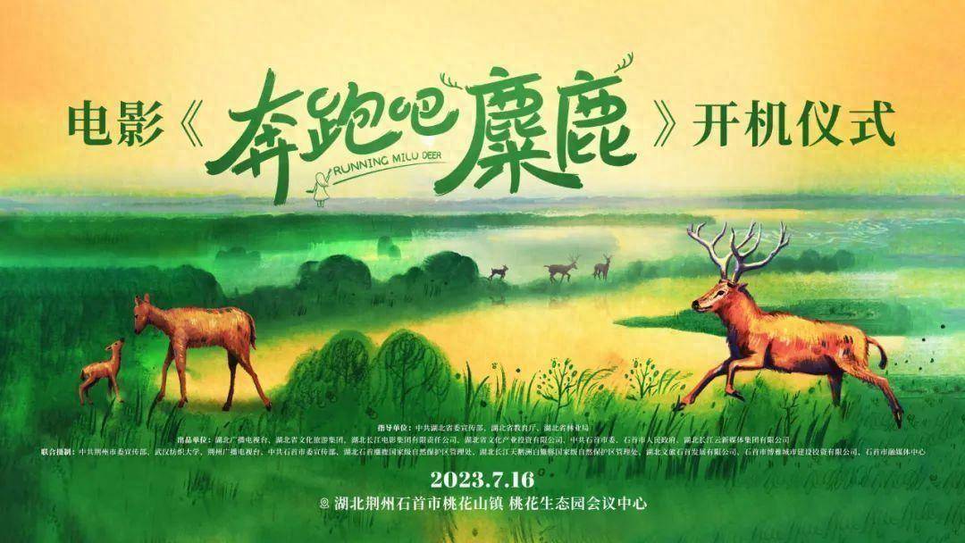 陈佳担任院线电影《奔跑吧麋鹿》与网剧《和我结婚吧》音乐总监_声音