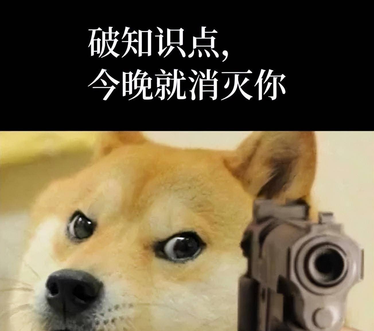 4,自己总结:在学习和实践中,不断总结和提炼自己的观点和经验,形成