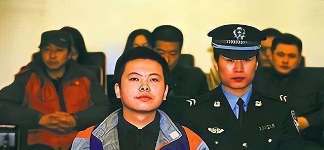 入赘北京的外来女婿,砍死妻子与岳母,结局让人唏嘘_陈文宁_刘红菱