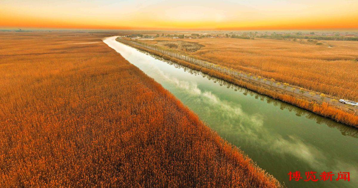 马踏湖:流金岁月 如梦似幻_淄博_桓台_新闻