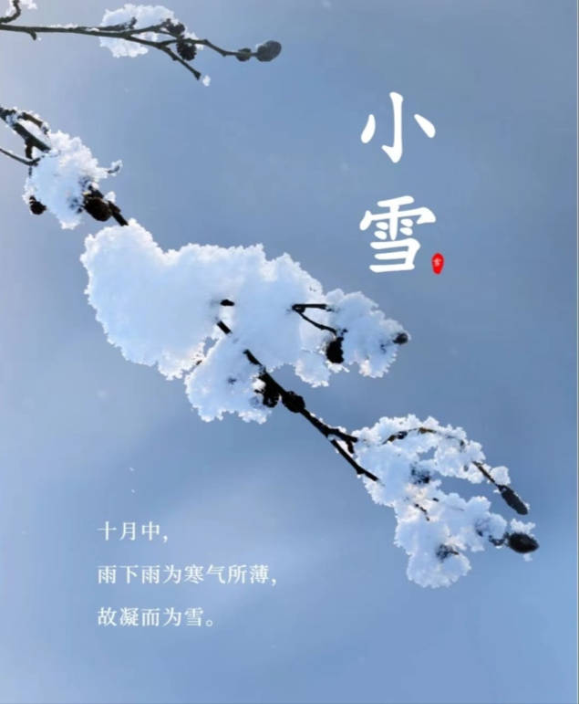 小雪 岁至小雪