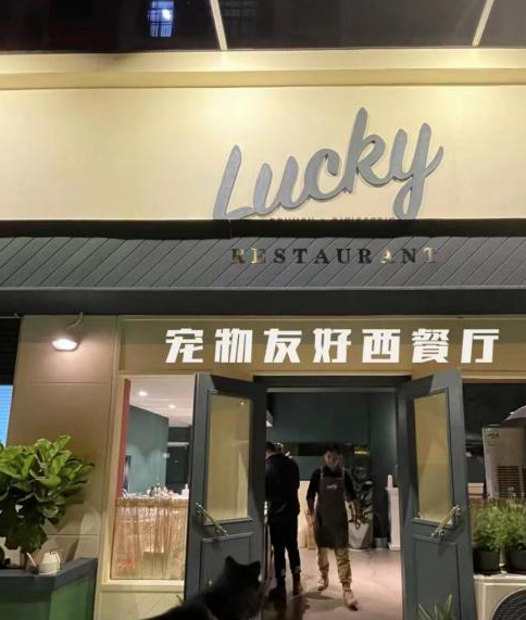 网友爆料在北京的某餐厅内，网友带着自己的宠物狗一同上桌吃饭，看上去十分不卫生，在网上引起了讨论。