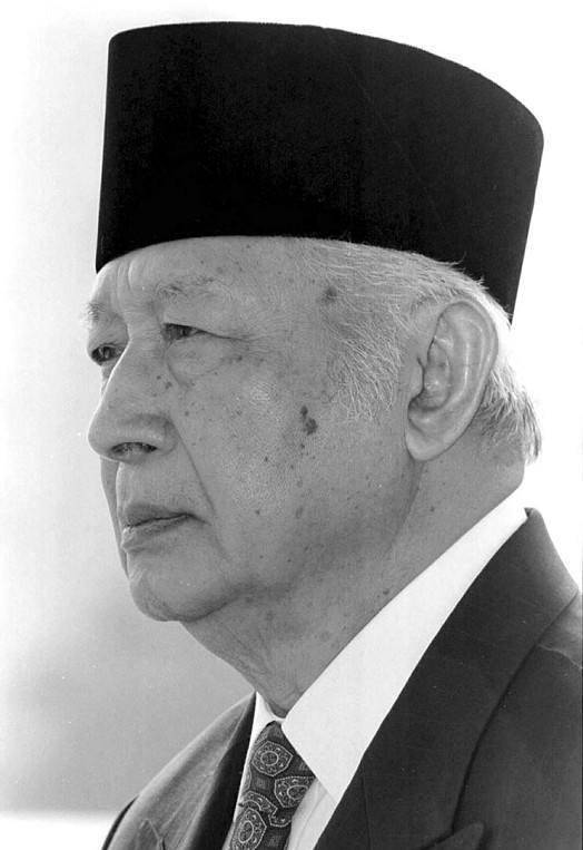 贪污350亿美元的印尼总统苏哈托,为何能安然无恙,得以善终_审判_家族