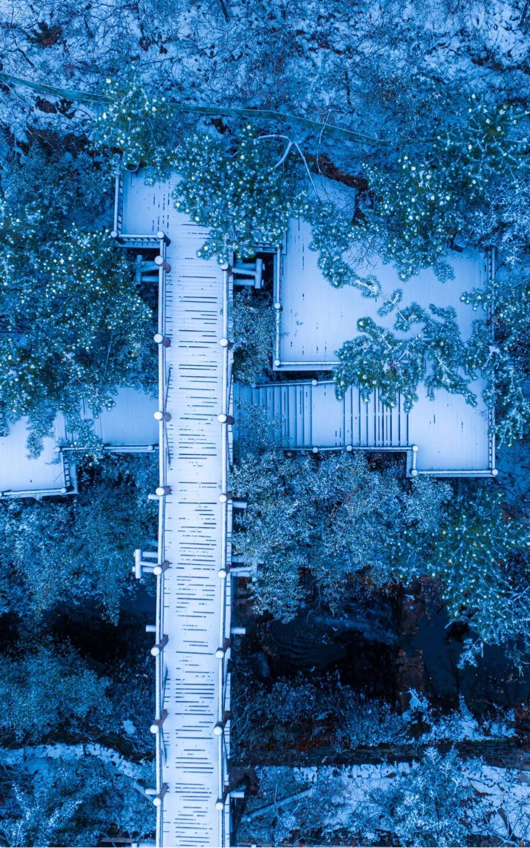 图源:九如山抬眼细数,挂满雪花的玉树琼枝,婆娑斑驳的雾凇缀满树梢,于