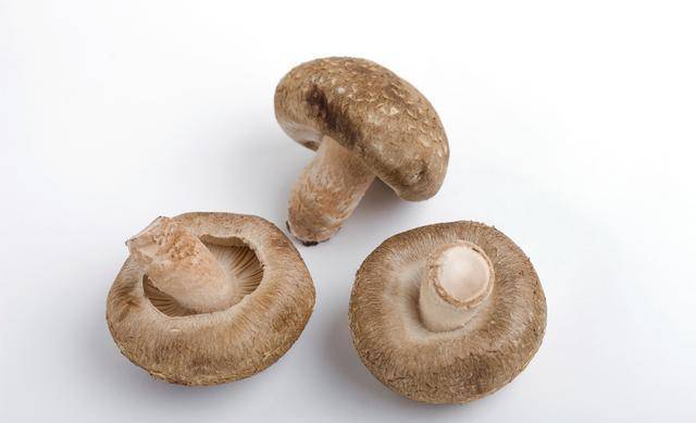 口感_肉质_水分