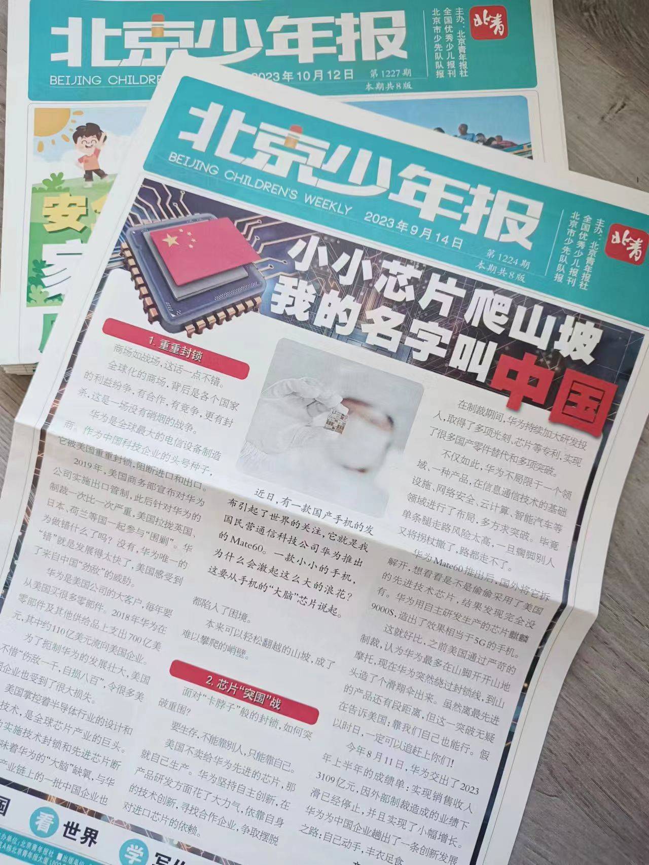 "漫画知识",这应该是小朋友最喜欢的版块,这里有暖心可爱的《bibi动物