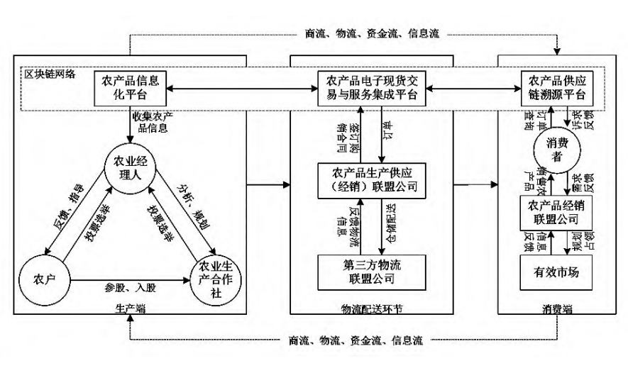 绿色蔬菜：舌尖上的健康生活